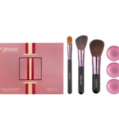 Premier Luxury Skin Care Get Started Mineral Make Up Kit