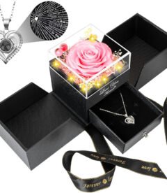 Lovery Preserved Pink Rose with LED Lights and Double Heart Necklace