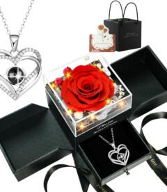 Lovery Preserved Red Rose with LED Lights and Double Heart Necklace