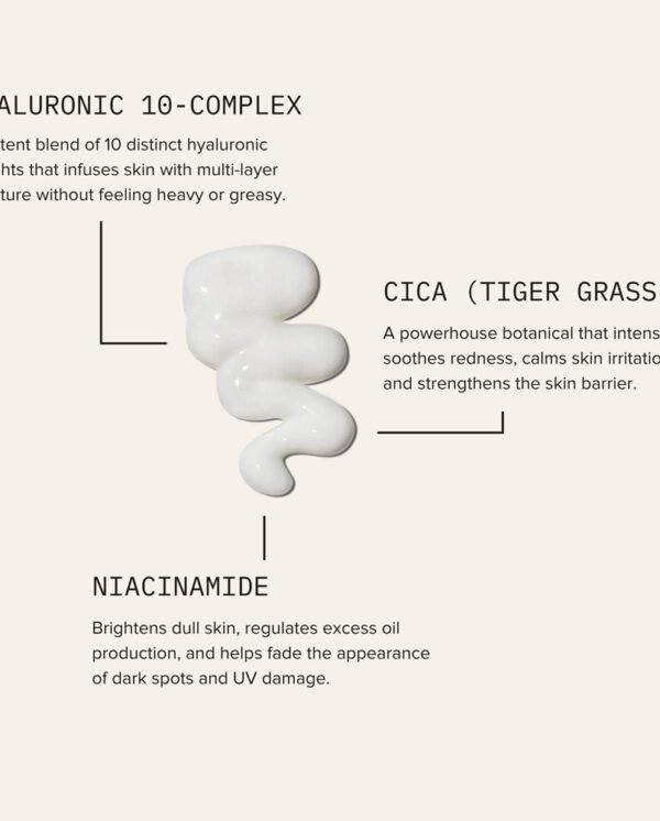 Cardon Daily SPF + Moisturizer Cardon Daily SPF + Moisturizer