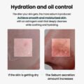 Goodal Super Melting Sebum Cleansing Oil